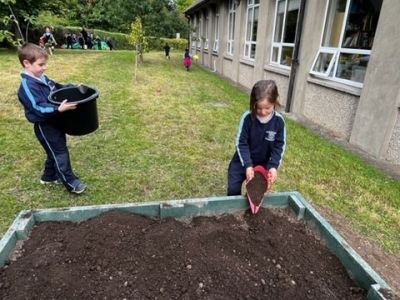Our School Garden 
