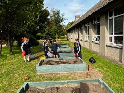 Our School Garden 