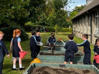 Our School Garden 