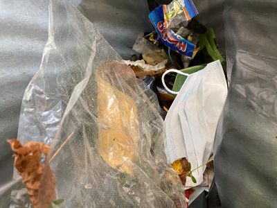 Litter pick