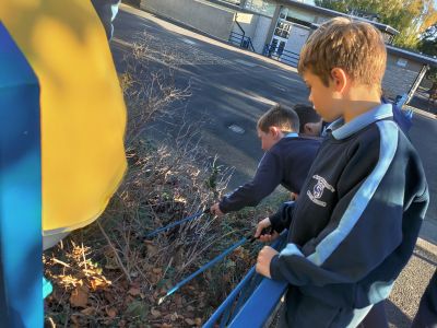 Litter pick