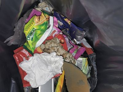 Litter pick
