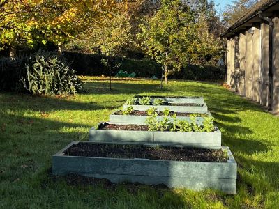 Outdoor Garden November 22 
