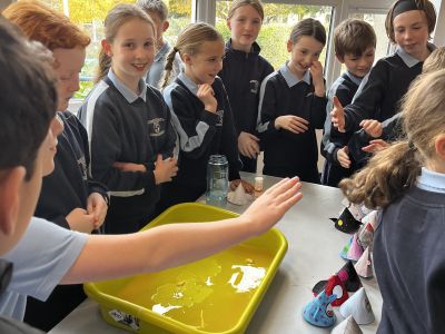 SST Science Week