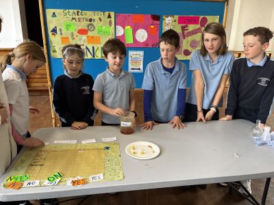 SST Science Week