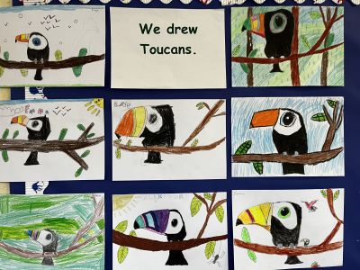 Toucan Rang 2