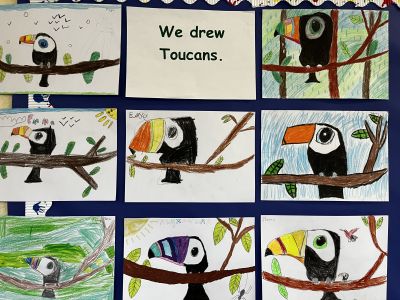 Toucan Rang 2