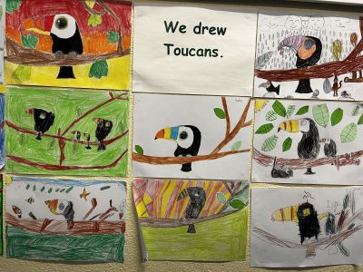 Toucan Rang 2