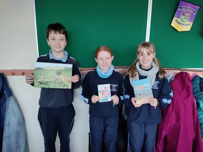 Irish Aid