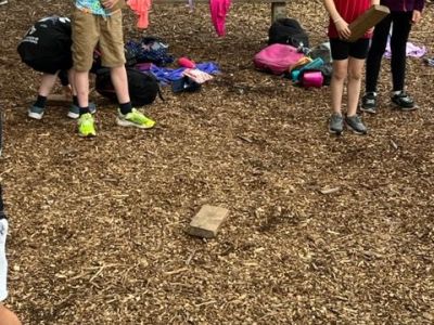 Squirrel Scramble 