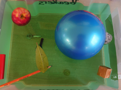 Science Week 