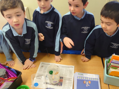 Science Week 