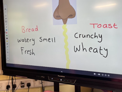 Science Week 