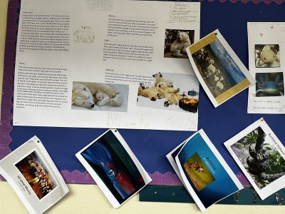Animal Projects
