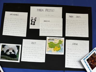 Animal Projects