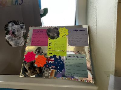 Animal Projects