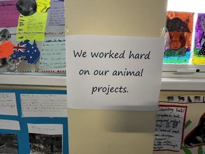 Animal Projects