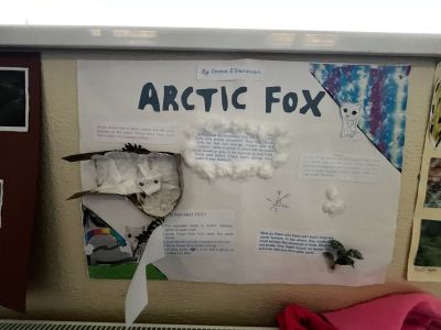 Animal Projects