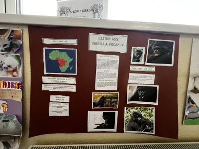 Animal Projects
