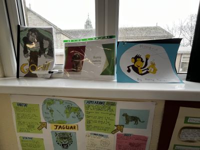 Animal Projects