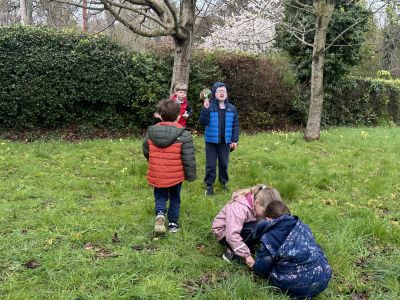 Bug Hunting