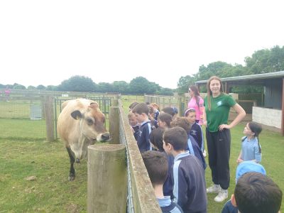 Glenroe