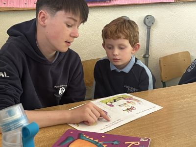 Paired reading 