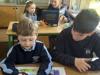 Paired reading 