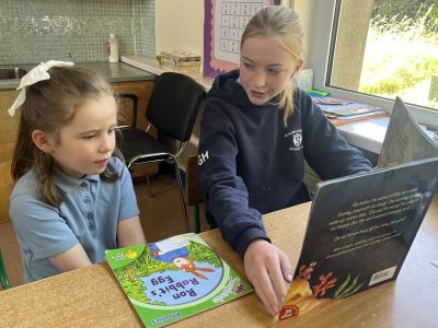 Paired reading 