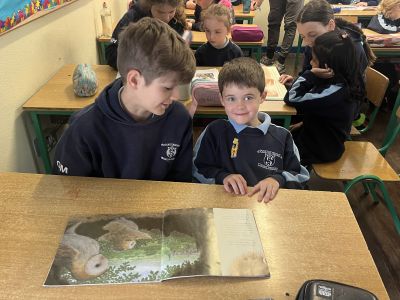 Paired reading 