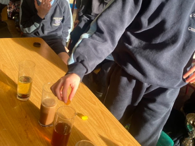 Science Week 
