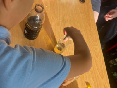 Science Week 