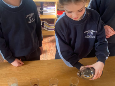 Science Week 