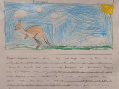 Australian Animal Projects