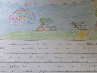 Australian Animal Projects