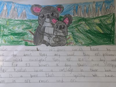 Australian Animal Projects