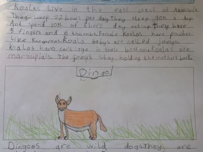 Australian Animal Projects