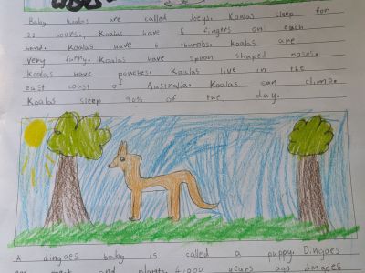 Australian Animal Projects