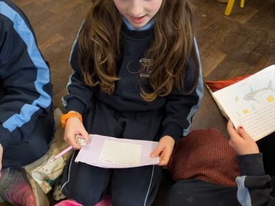 Australian Animal Projects