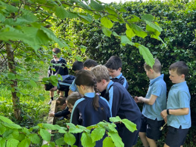 Bug Hunting