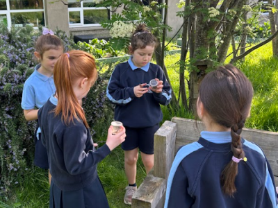 Bug Hunting