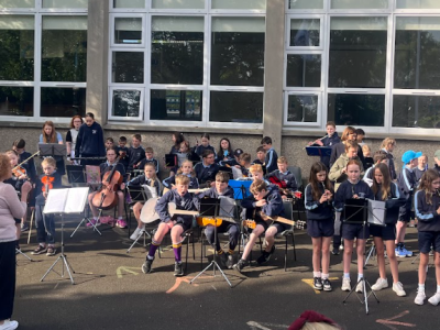 Orchestra 