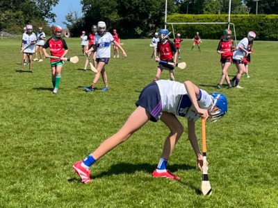 Cumann Na mBunscoil 