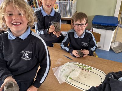 Senior Infants 