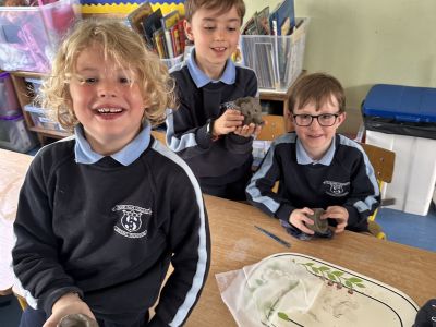 Senior Infants 
