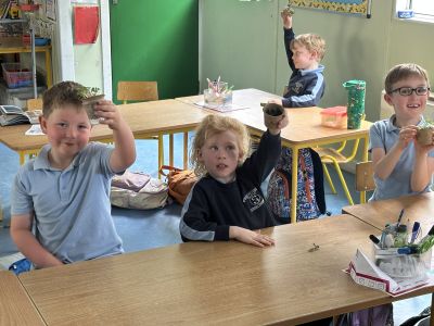 Senior Infants 