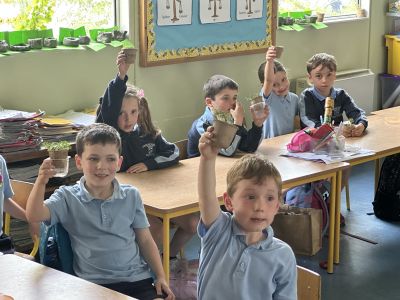 Senior Infants 