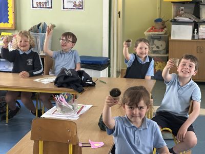 Senior Infants 