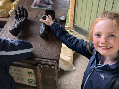 Dublin Zoo