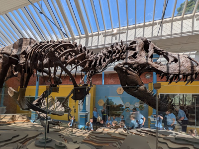 Dublin Zoo